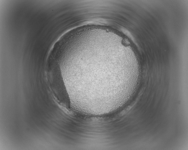 X0000068730923200605192315