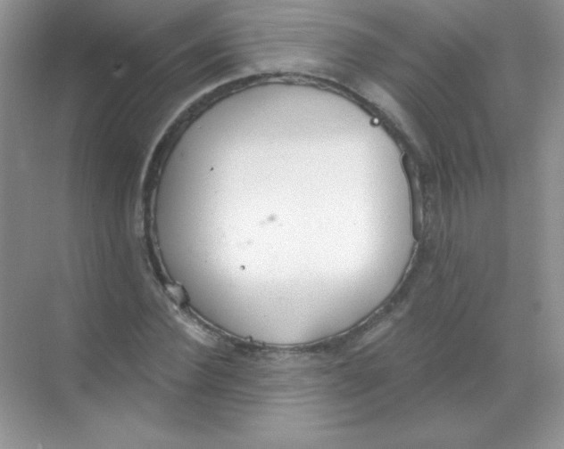 X0000068730924200605192315