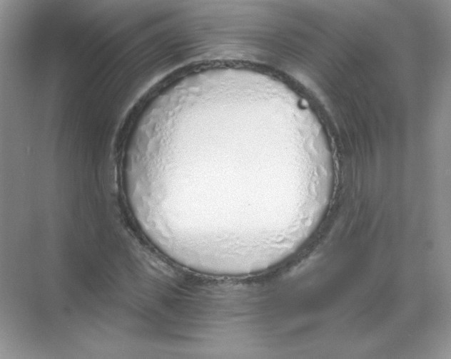 X0000068730925200605192315