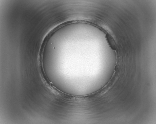 X0000068730928200605192315