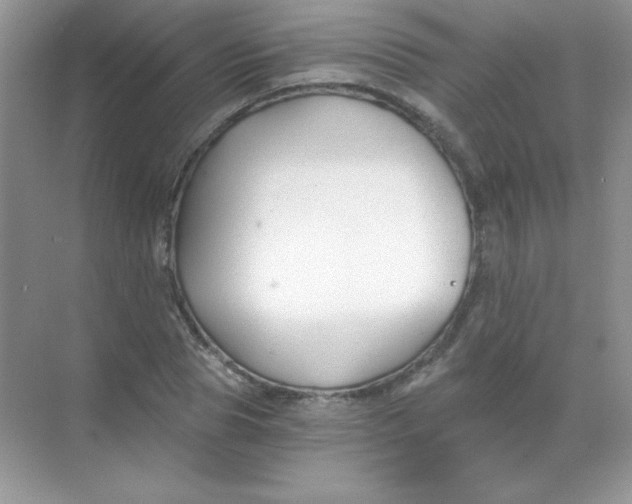 X0000068730929200605192315