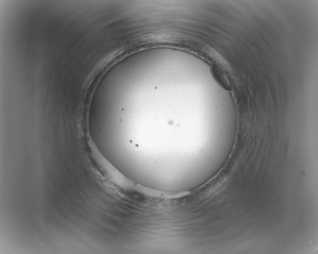 X0000068730930200605192315