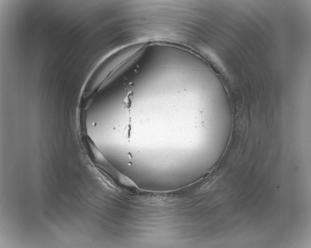 X0000068730932200605192315