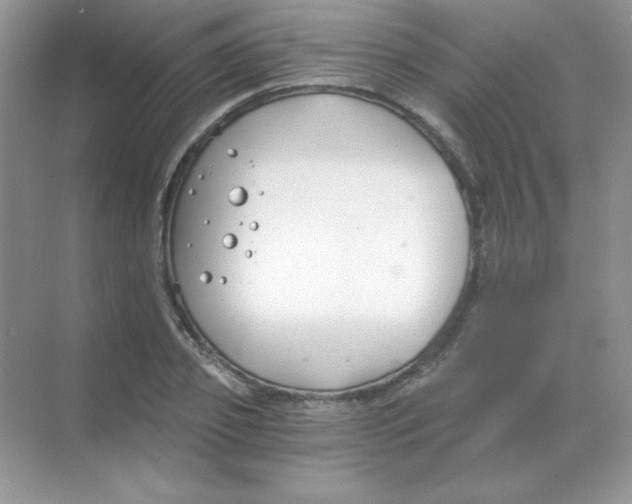 X0000068730933200605192315