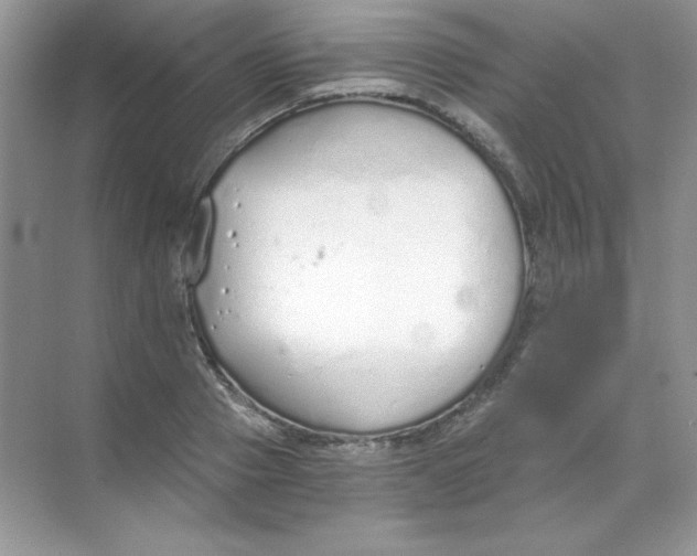 X0000068730937200605192315