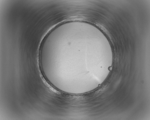 X0000068730941200605192315