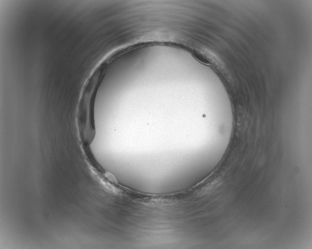 X0000068730942200605192315