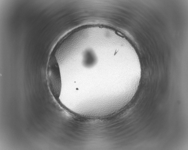 X0000068730943200605192315