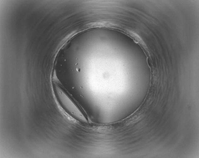 X0000068730946200605192315