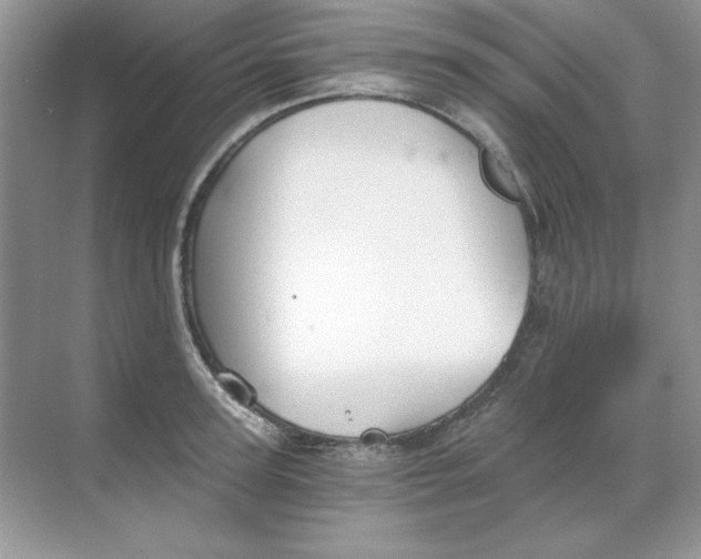 X0000068730947200605192315