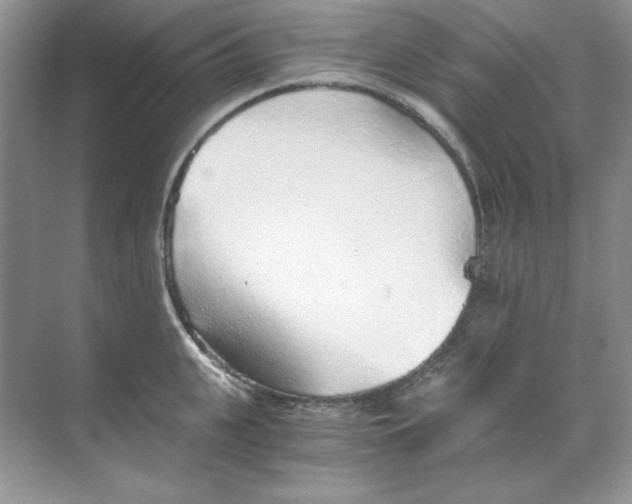 X0000068730951200605192316