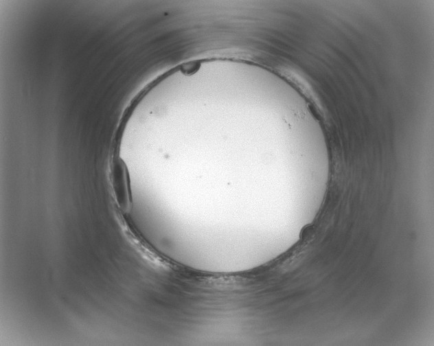 X0000068730952200605192316