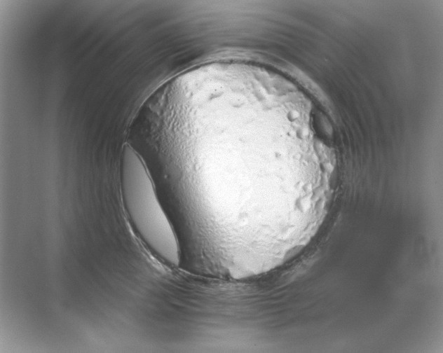 X0000068730953200605192316