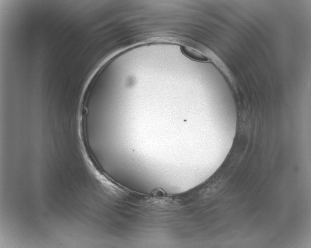 X0000068730955200605192316