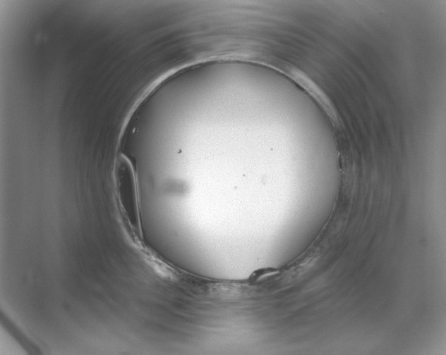 X0000068730956200605192316