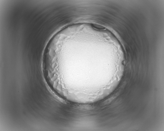 X0000068730957200605192316