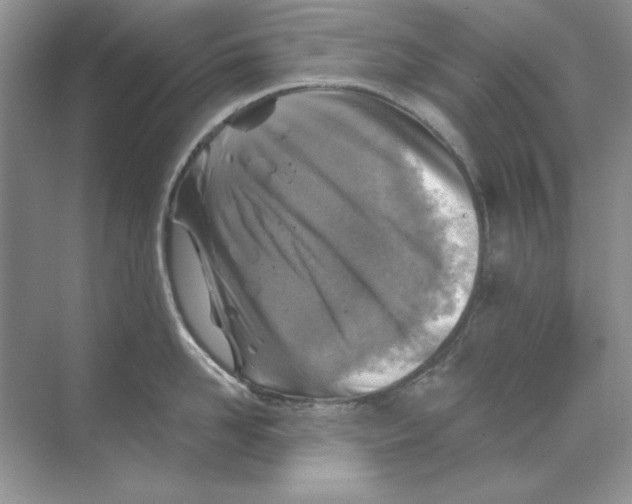 X0000068730958200605192316