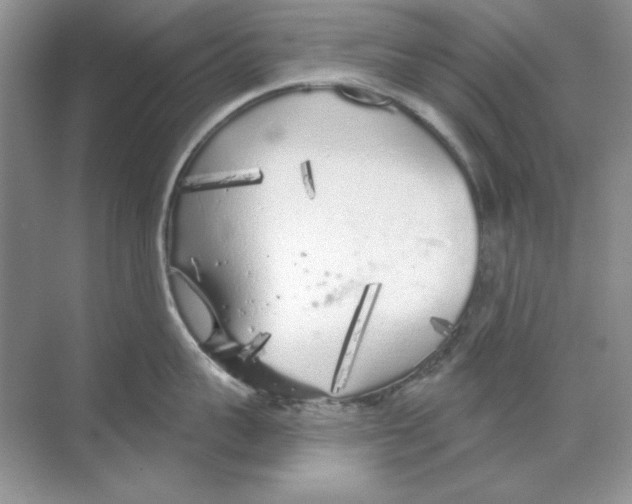 X0000068730959200605192316