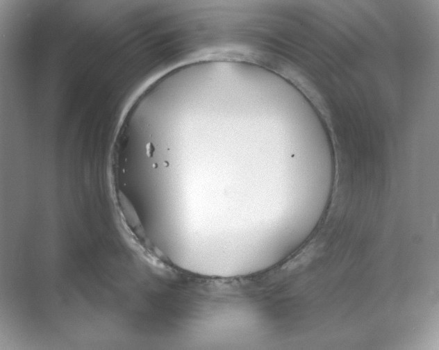 X0000068730960200605192316