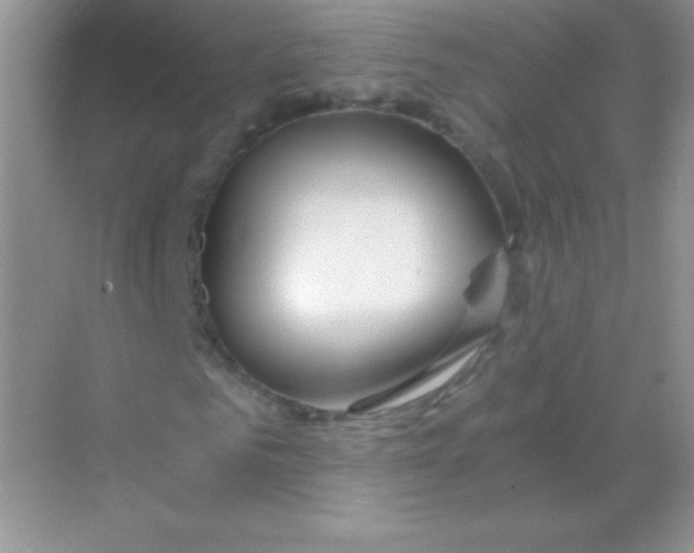 X0000068730961200605192315