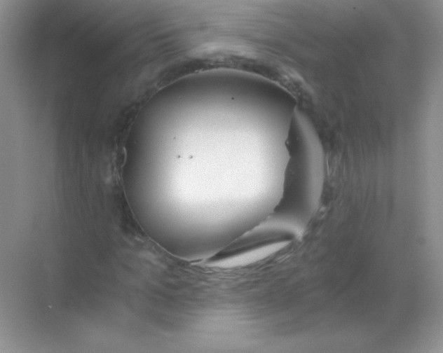 X0000068730965200605192315