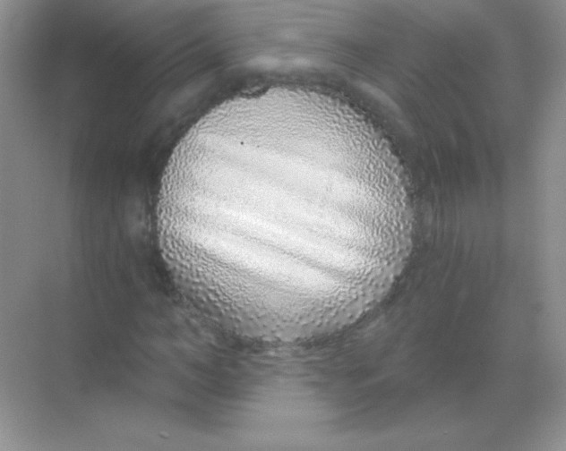 X0000068730966200605192315