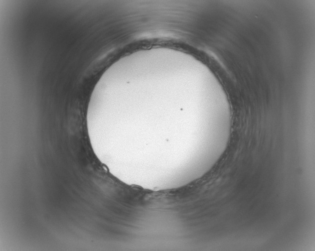 X0000068730967200605192315