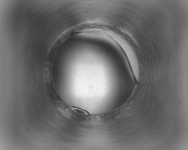 X0000068730968200605192315