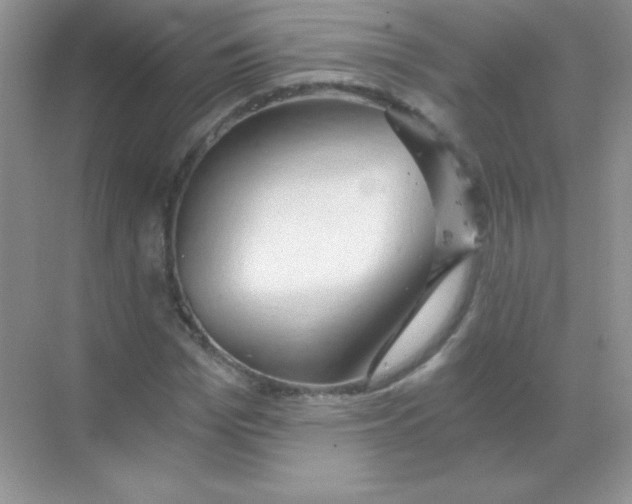 X0000068730969200605192315