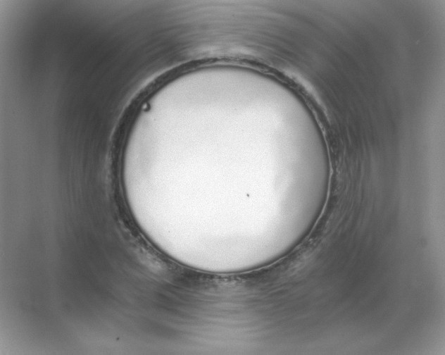 X0000068730975200605192315