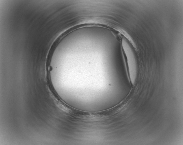 X0000068730980200605192315