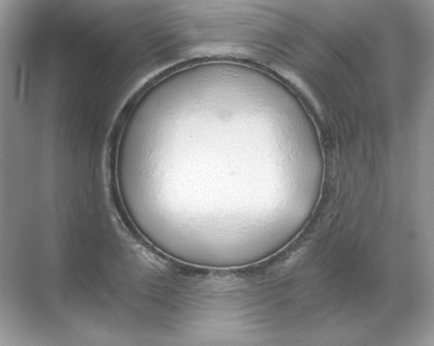 X0000068730983200605192315