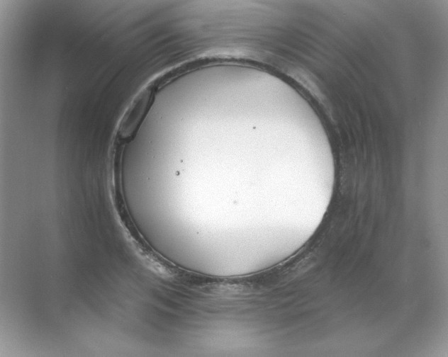 X0000068730984200605192315