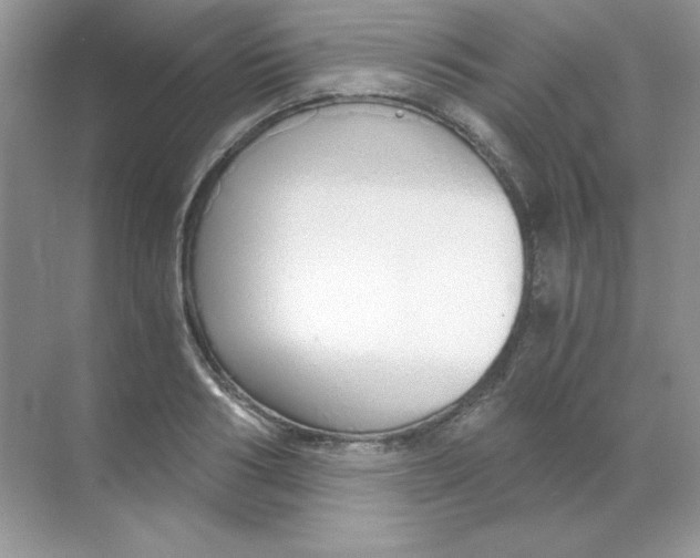 X0000068730986200605192314