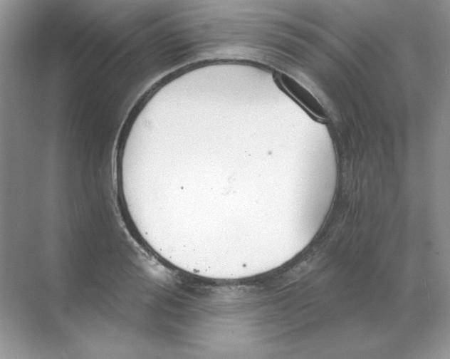 X0000068730988200605192314