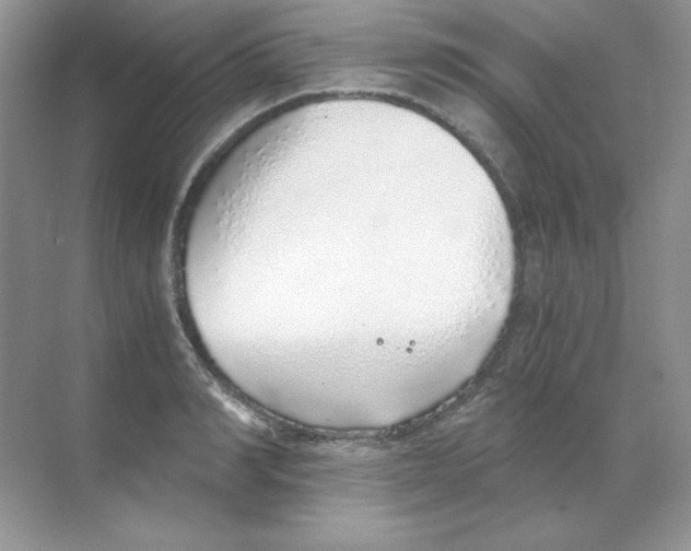 X0000068730990200605192314