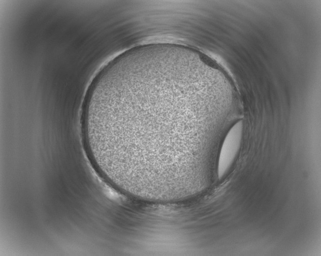 X0000068730995200605192314