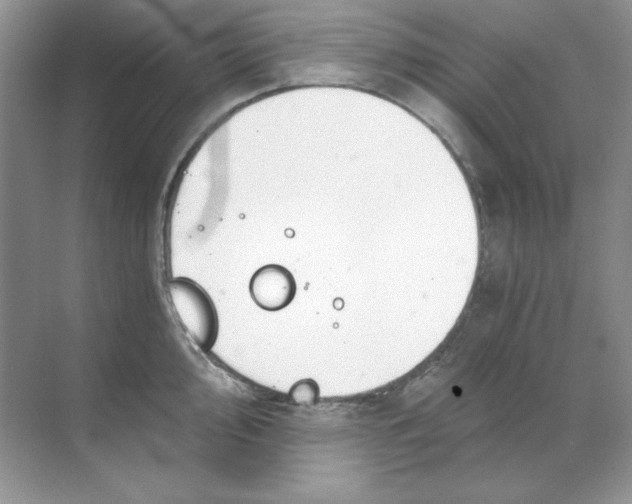 X0000068731000200605192314