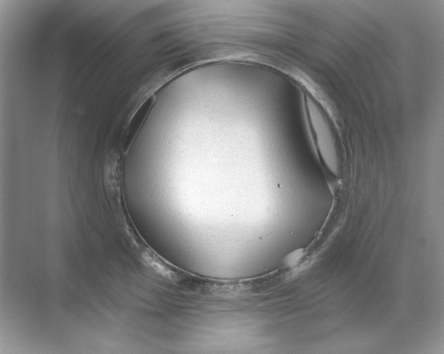 X0000068731001200605192314