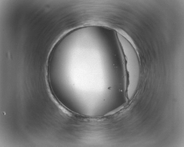 X0000068731005200605192314