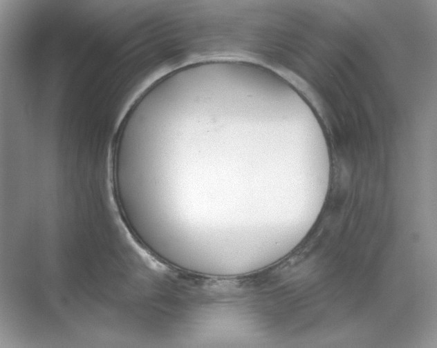 X0000068731006200605192314