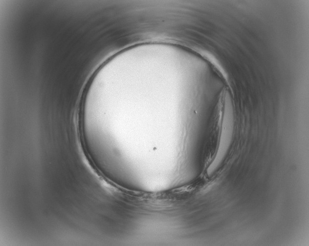 X0000068731007200605192314