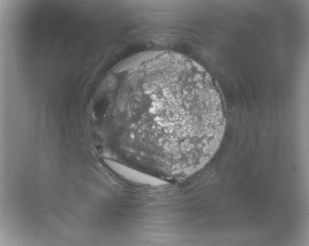 X0000068731009200605192313