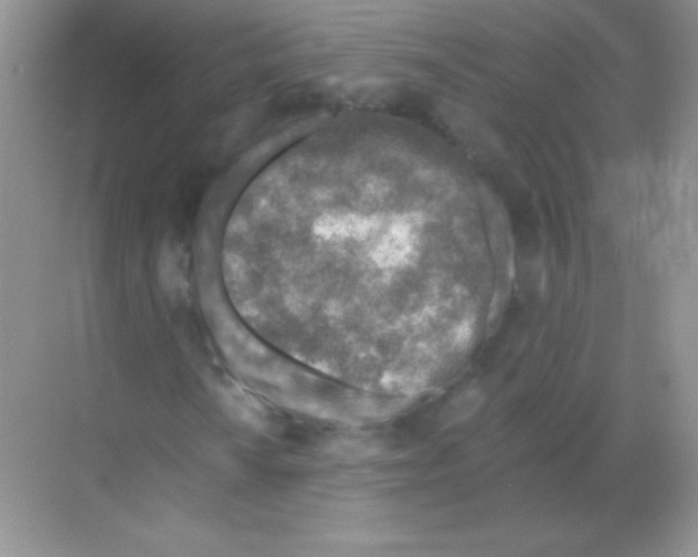 X0000068731010200605192313