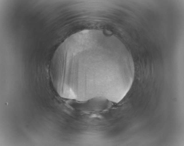 X0000068731013200605192313