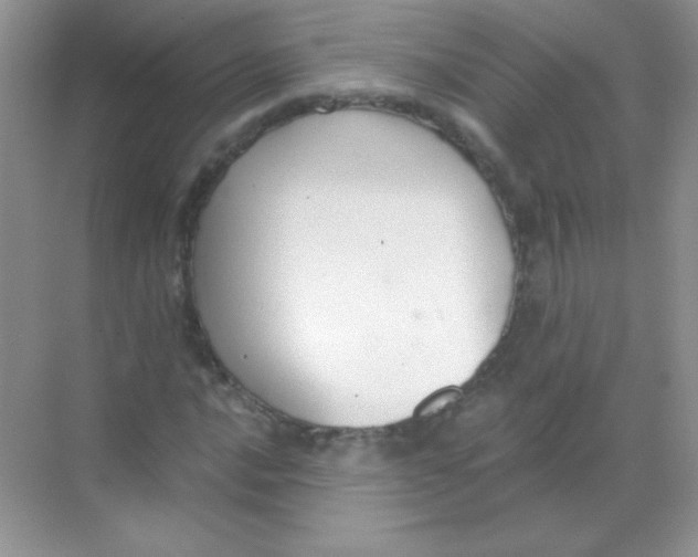 X0000068731016200605192313