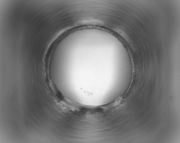 X0000068731022200605192313