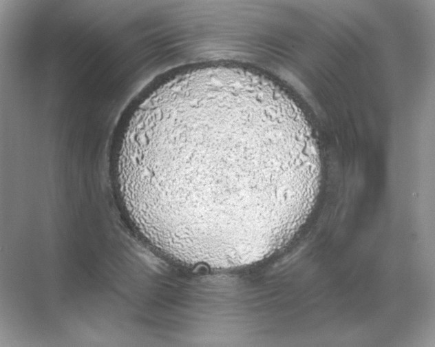 X0000068731023200605192314