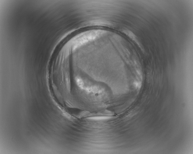 X0000068731024200605192314