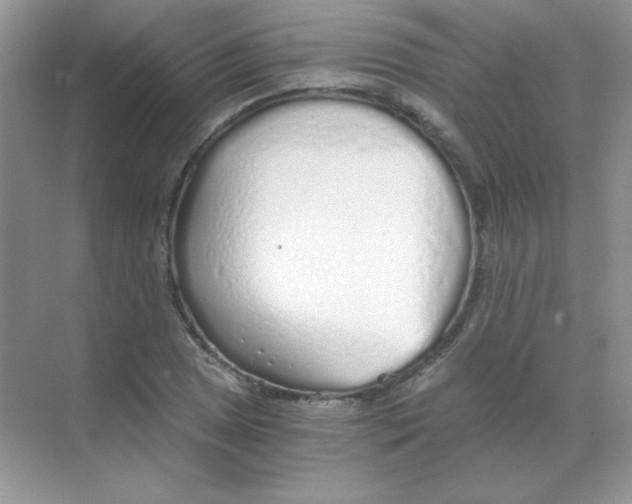 X0000068731025200605192314